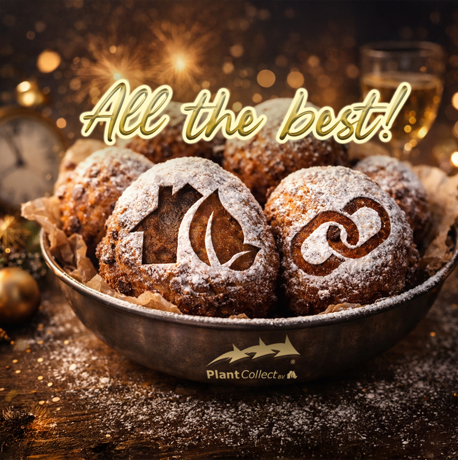 Picture for category Over Plant Collect